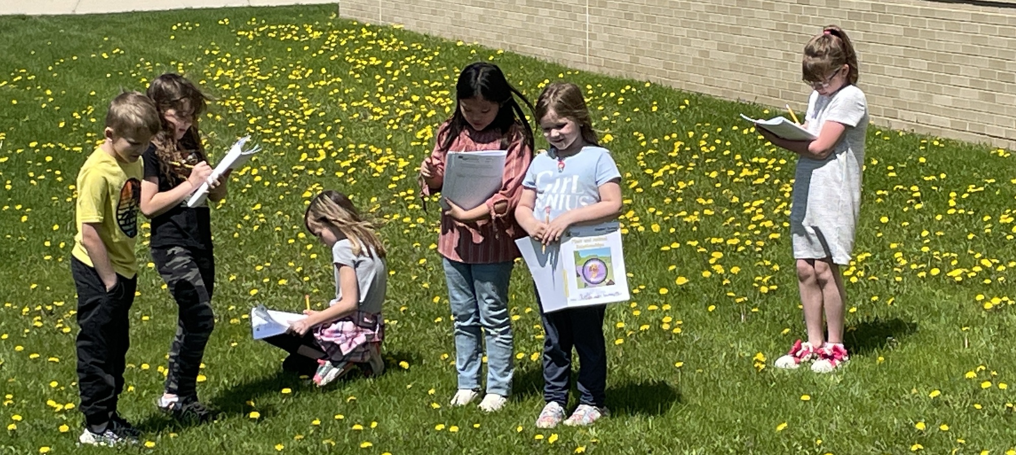 Students working outside