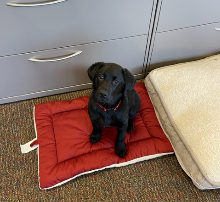 Oakley at Central Office